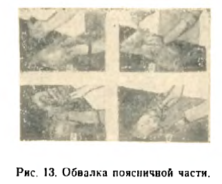 р13паа.png