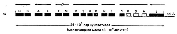 Рис. 7