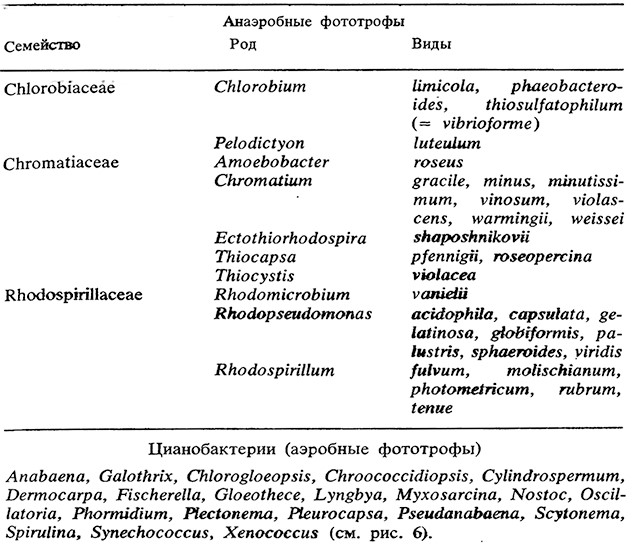 Таблица 5