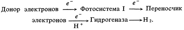 продуцировать водород