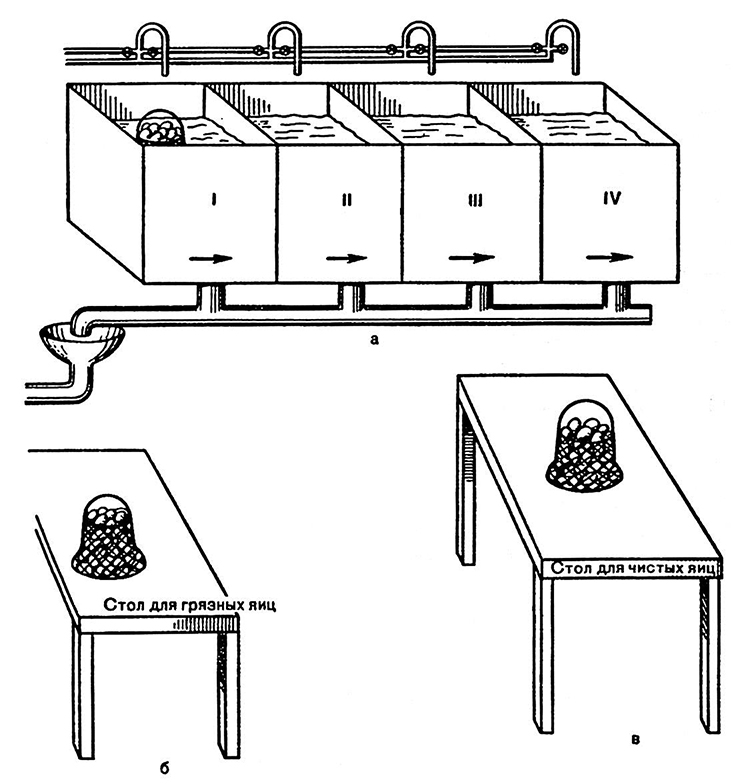 Схема подготовки яиц куриных к производству
