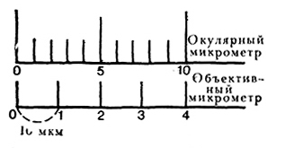 На рисунке 51