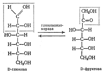 фермента глюкозоизомеразы