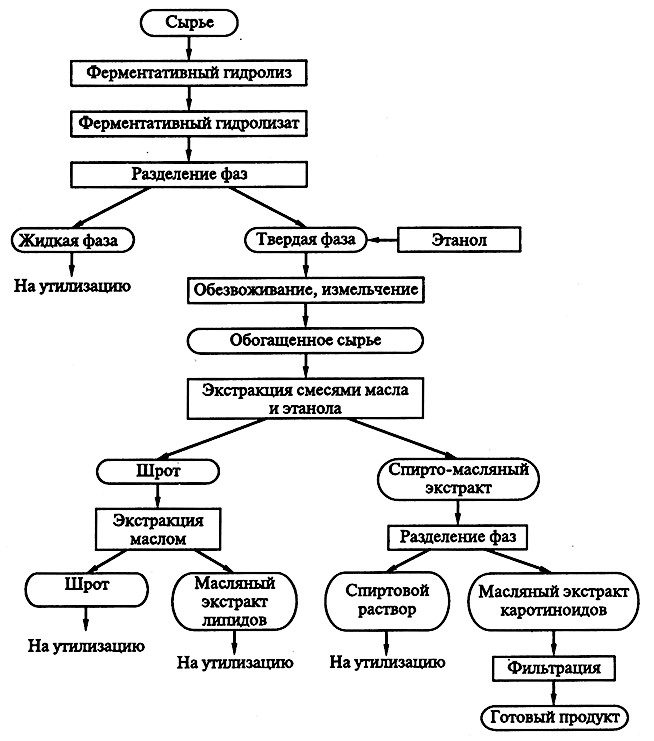 Принципиальная схема биотехнологического производства