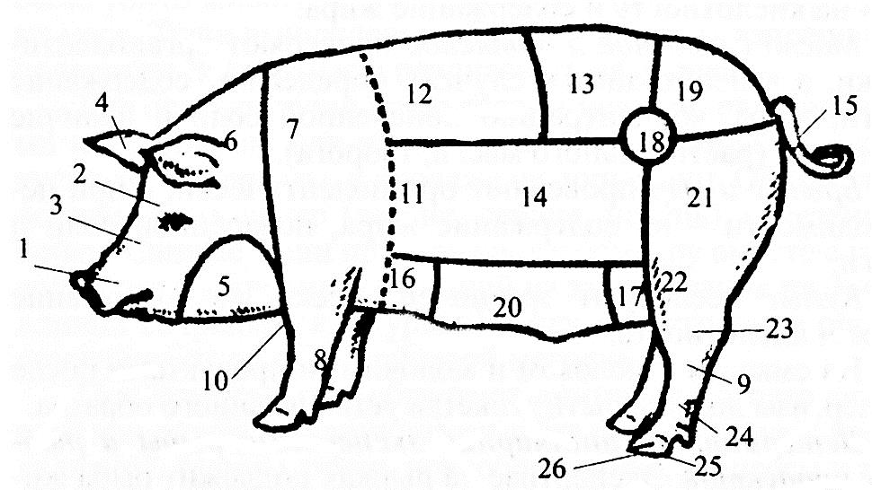Части тела свиньи при разделке для продажи схема