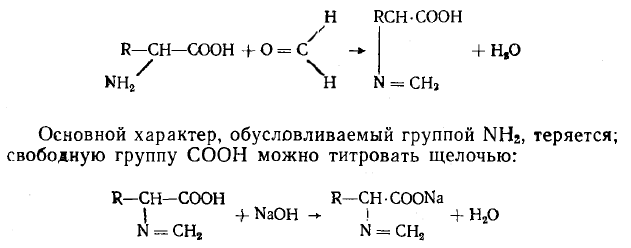 рррене7.png